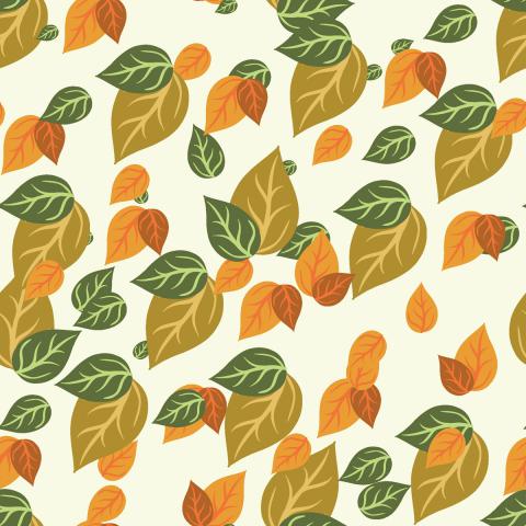 Autumn leaves in shades of green and orange
